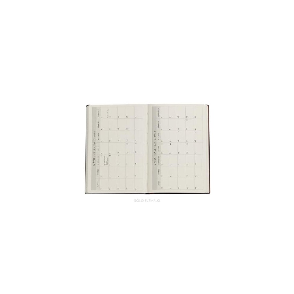 Marie Curie 12-Month Calendar 2024, the Science of Radioactivity, Day Overview, Mini (100  140 Mm) thumbnail
