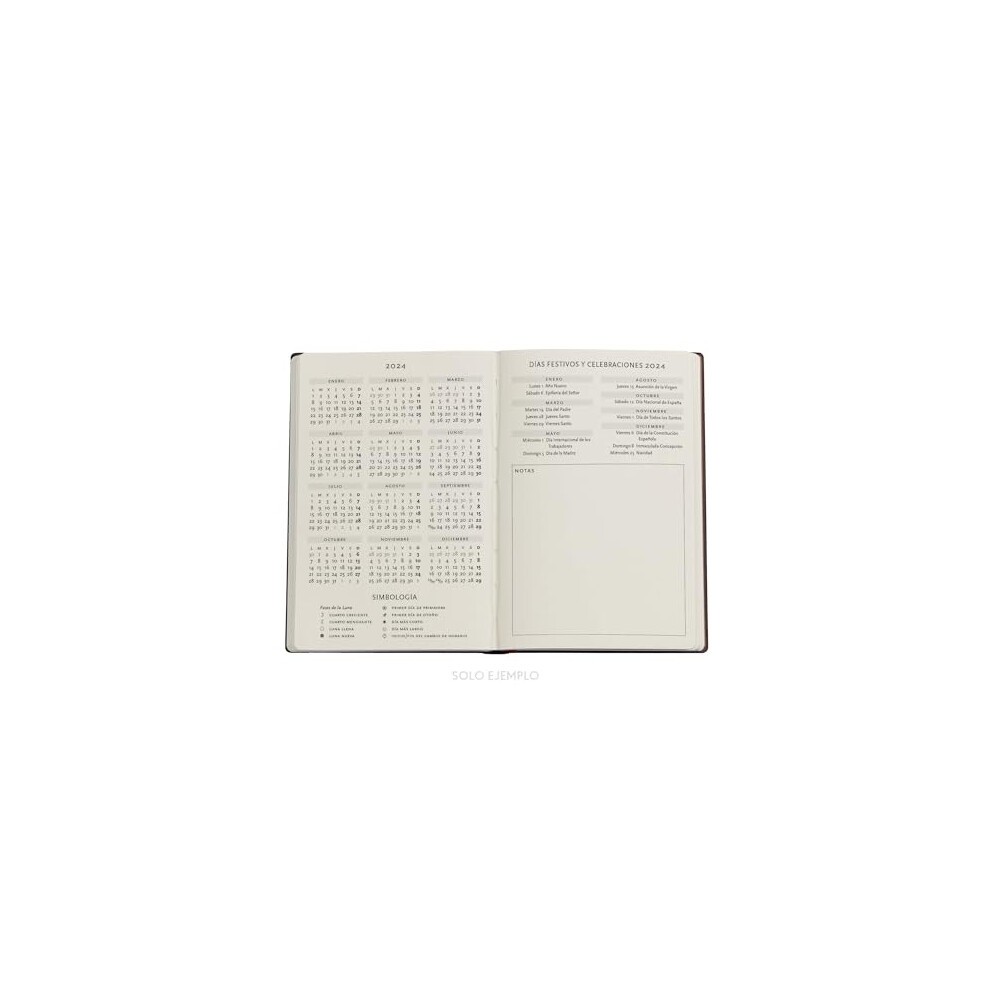 Marie Curie 12-Month Calendar 2024, the Science of Radioactivity, Day Overview, Mini (100  140 Mm) thumbnail