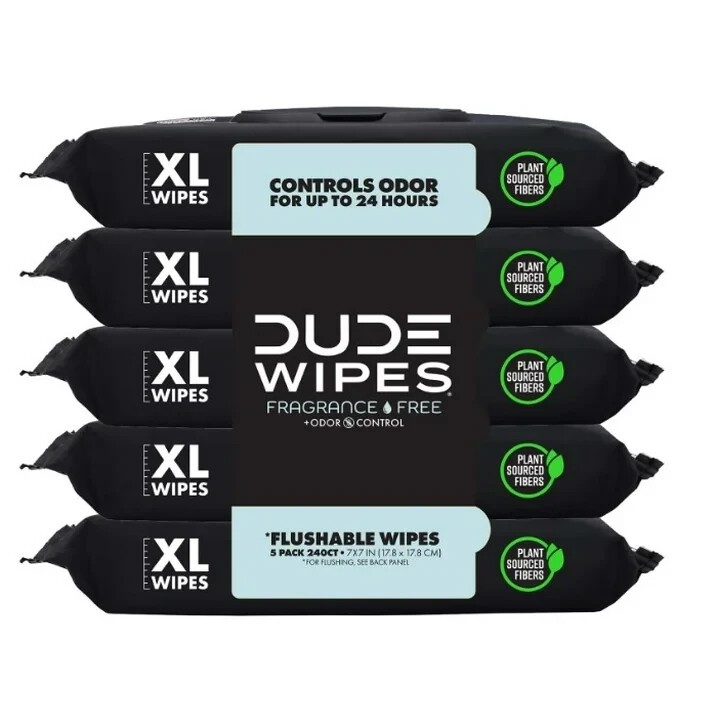 DUDE Wipes Fragrance Free Plus Odor Control  XL Wet Wipes  48 Count  5 Pack thumbnail