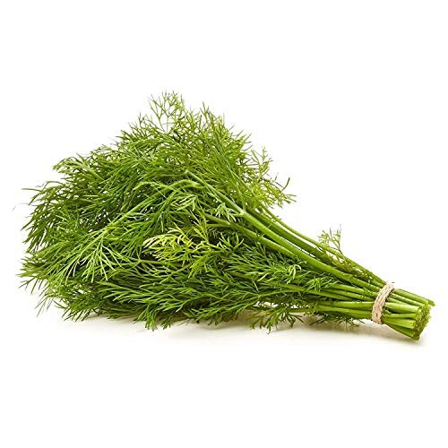 Soli Organic Dill, 0.5 OZ thumbnail