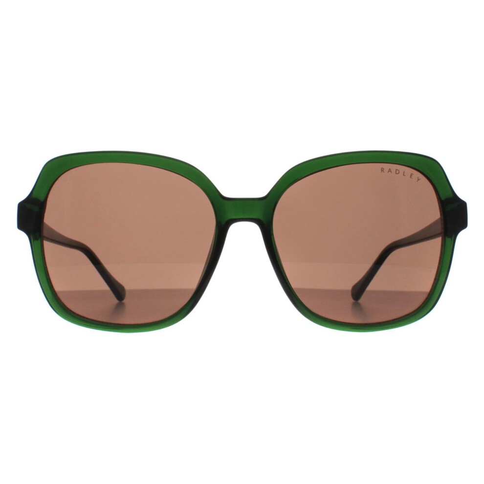 Radley Square Transparent Dark Green Brown Phoenix 6505