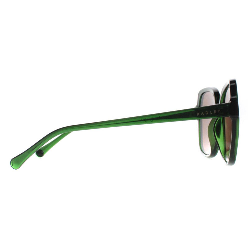 Radley Square Transparent Dark Green Brown Phoenix 6505 thumbnail