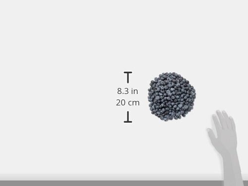 Blueberries, 18 Oz thumbnail