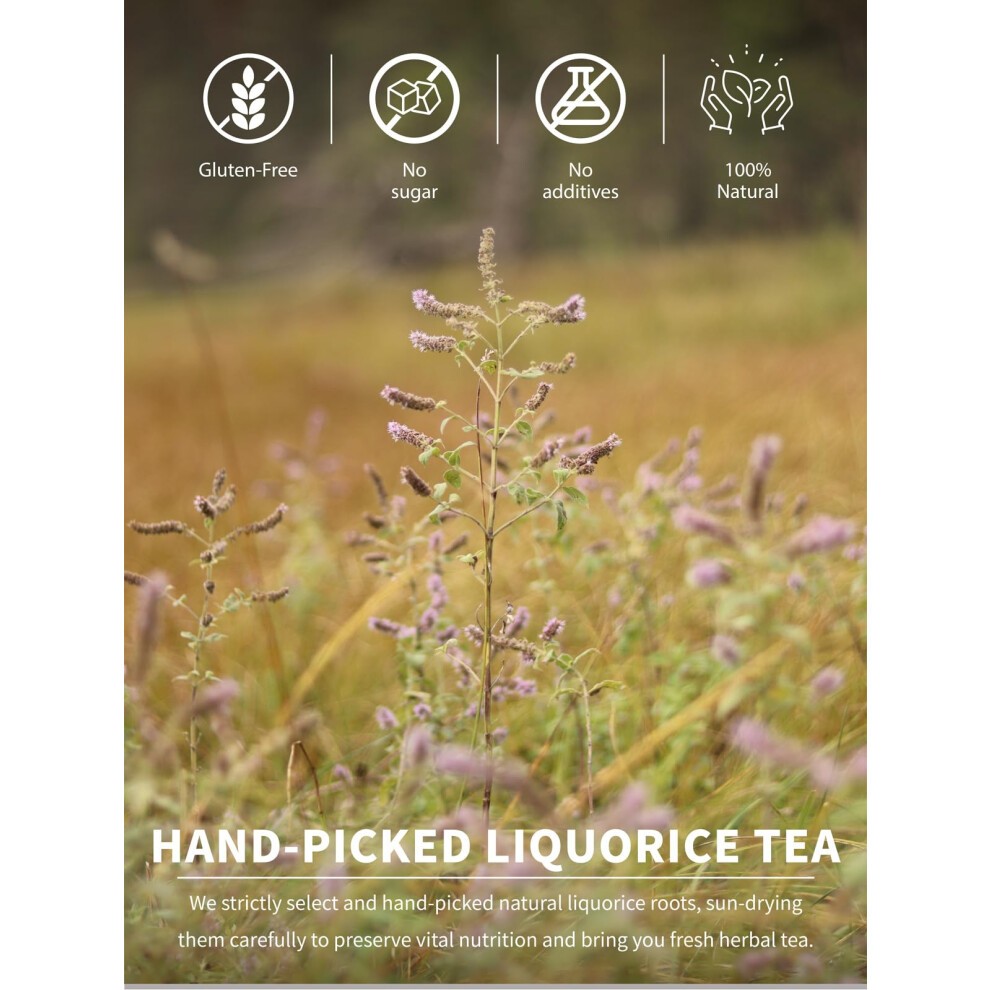 TeeLux Liquorice Tea Bags 100 Count, Pure Natural Liquorice Roots, Sweet Herbal Tea, Caffeine Free, Biodegradable Tea Bags thumbnail