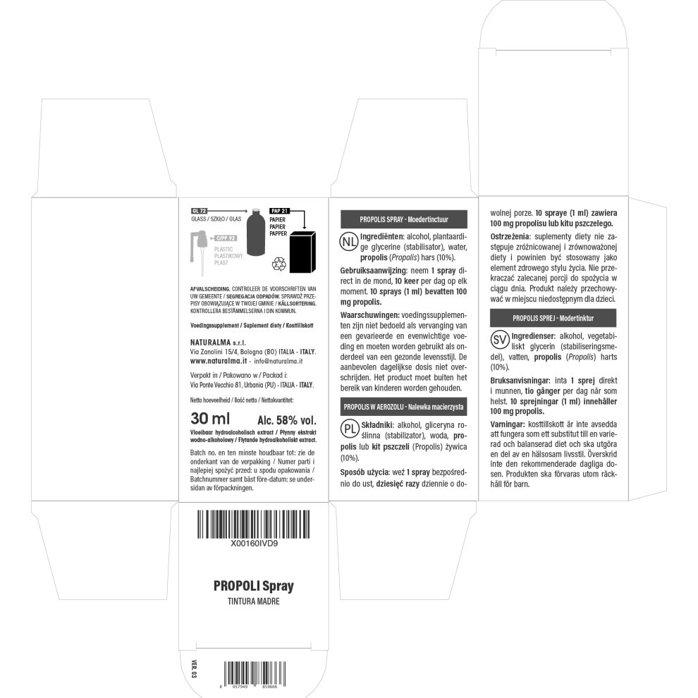 Propolis Spray (Propolis) Resin Hydroalcoholic Mother Tincture NATURALMA - Liquid Extract 30 Ml - Food Supplement thumbnail