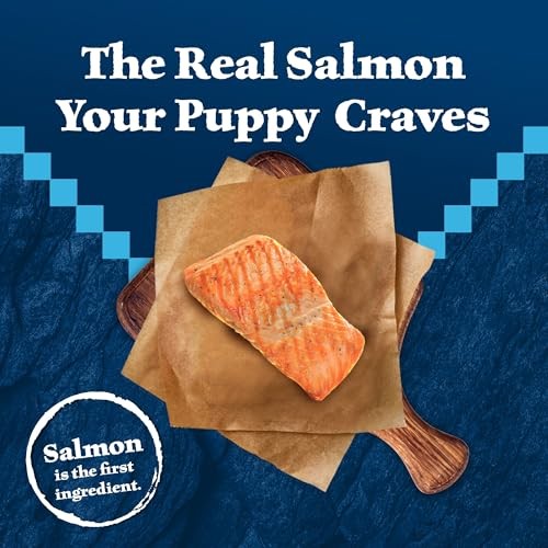 Blue Buffalo Wilderness High-Protein Natural Dry Food for Puppies  Salmon Recipe  24-lb. Bag thumbnail