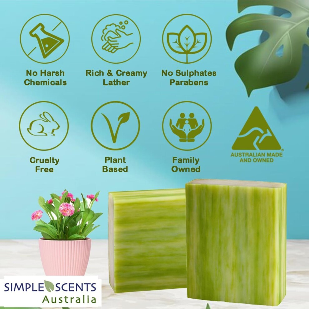 Simple Scents Australia Assorted 6 PCS Natural Soap Bars  Assorted Coastal Woods  3.5oz Each Moisturizing French Triple Milled Soap Bars Enriched with thumbnail