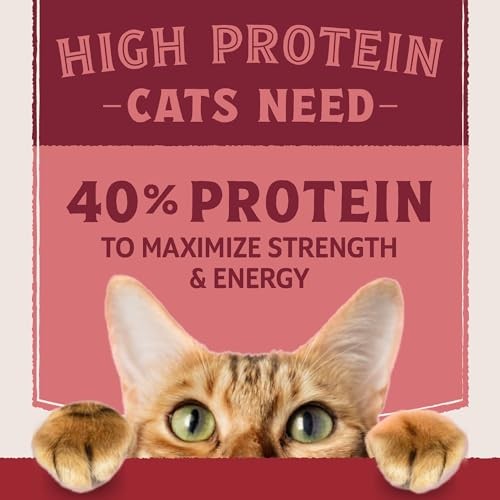 Natural Balance Ultra Protein Real Salmon & Chicken Meal Cat 10 Lbs thumbnail