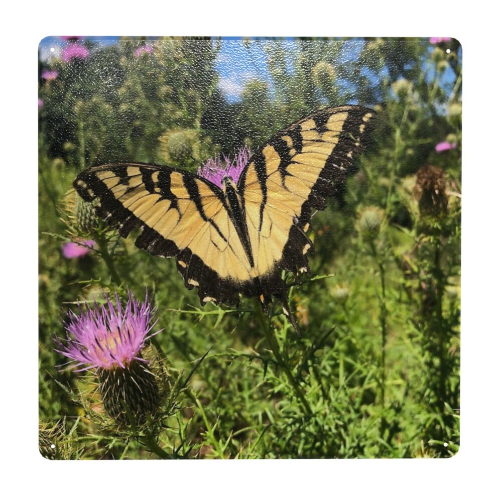 (Butterfly =6051) Metal Tin Sign 12x12