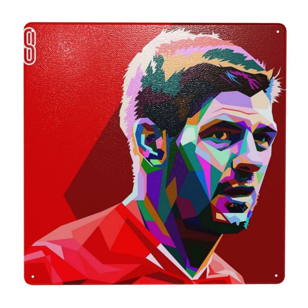 (Steven Gerrard Fantastictain=6781) Metal Tin Sign 12x12