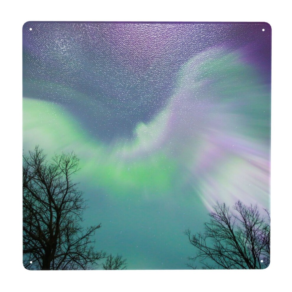 (Aurora Angel=6229) Metal Tin Sign 12x12