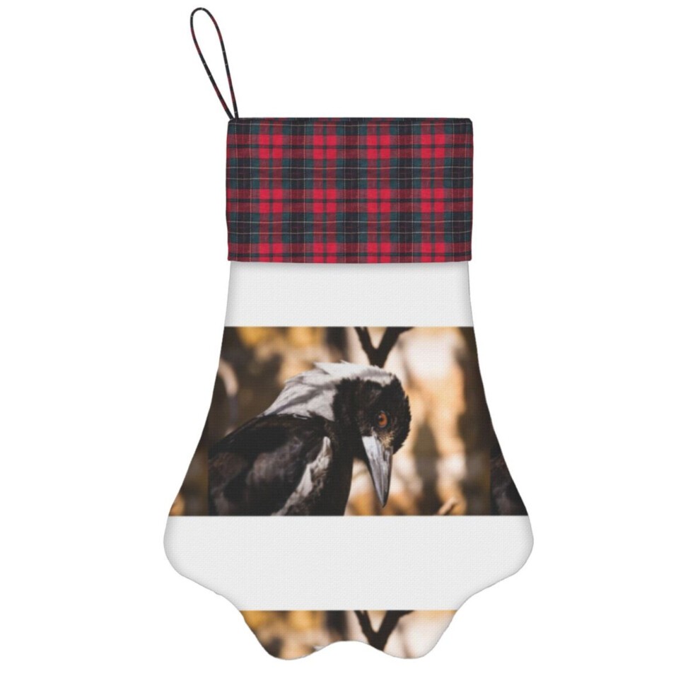 (Sunny Australian Magpie on the Deck=6755) Paw Christmas Stockings Buffalo Tartan Plaid for Cats Dogs Pet Hanging Xmas Tree Decorations