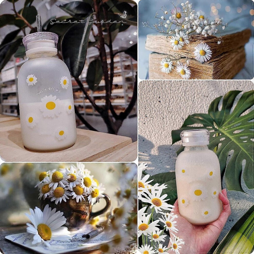 (as Show, One Size) Cute Water Bottles Kawaii Aesthetic Water Bottles Milk Juice Daisy Glass Water Cup for Girls, Straw and 2 Lids, 16 Oz (Four Flower thumbnail