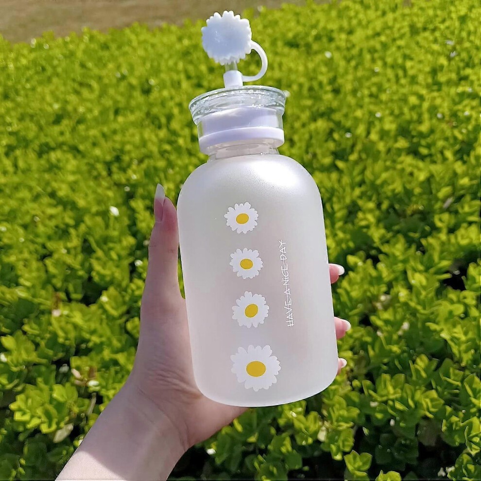 (as Show, One Size) Cute Water Bottles Kawaii Aesthetic Water Bottles Milk Juice Daisy Glass Water Cup for Girls, Straw and 2 Lids, 16 Oz (Four Flower thumbnail