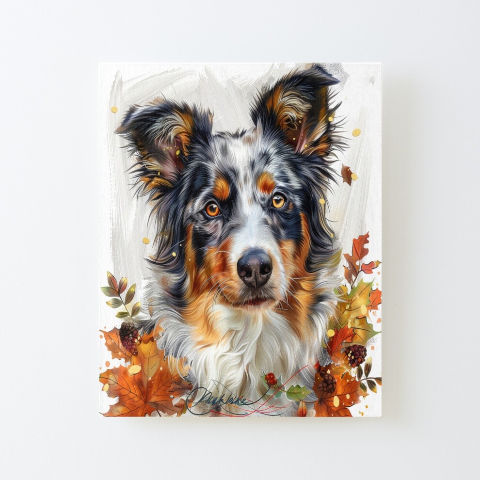 Framed Canvas Print Australian Cattle Dog - Gentle Gaze=2723 DIY Install Kit - 16x20