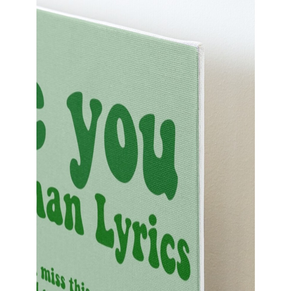 Framed Canvas Print I Love You in Noah Kahan Lyrics=4542 DIY Install Kit - 16x20