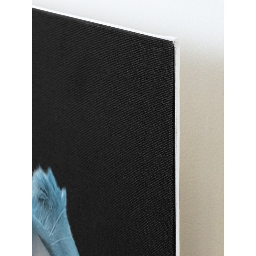 Framed Canvas Print Bilby a Bilby a Bilby=4888 DIY Install Kit - 16x20
