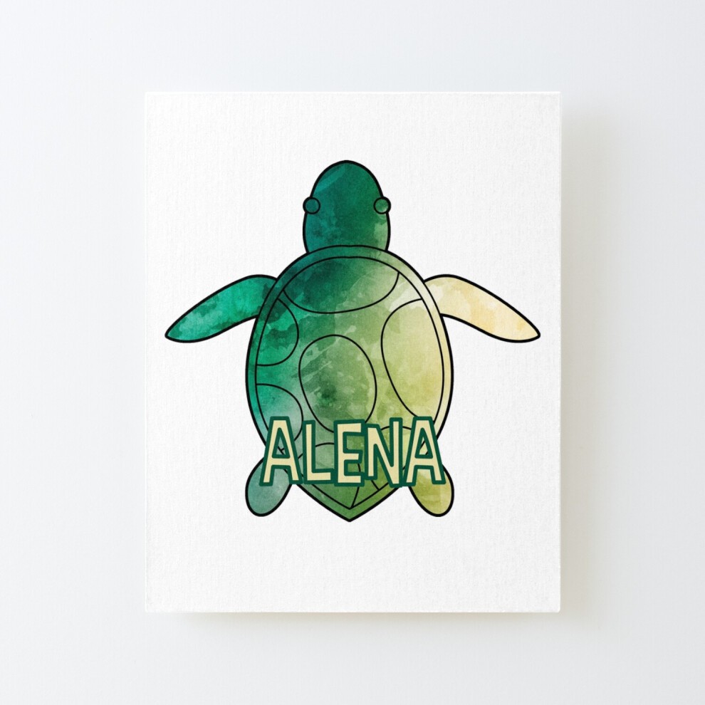 Framed Canvas Print Alena Sea Turtle Name=5796 DIY Install Kit - 16x20