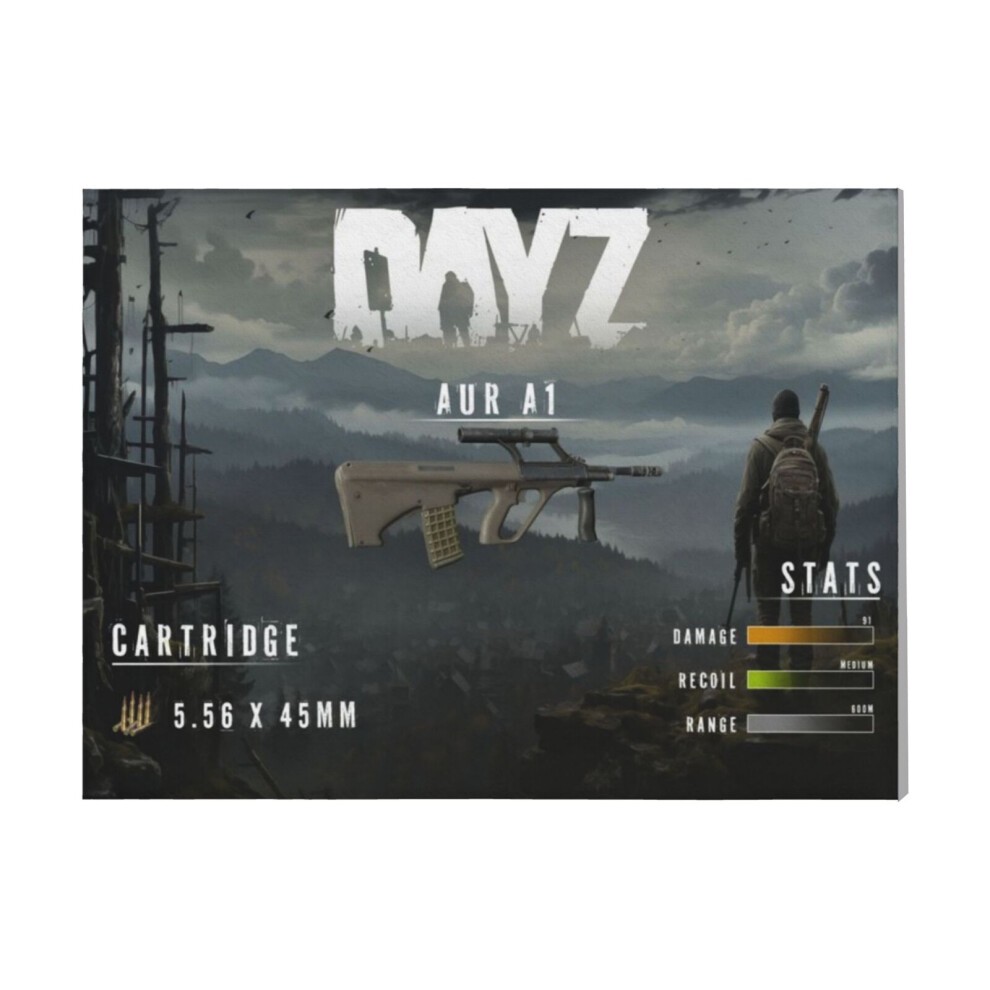 (DayZ AUR A1=4542) Canvas Print Framed DIY Install Kit- 16x20