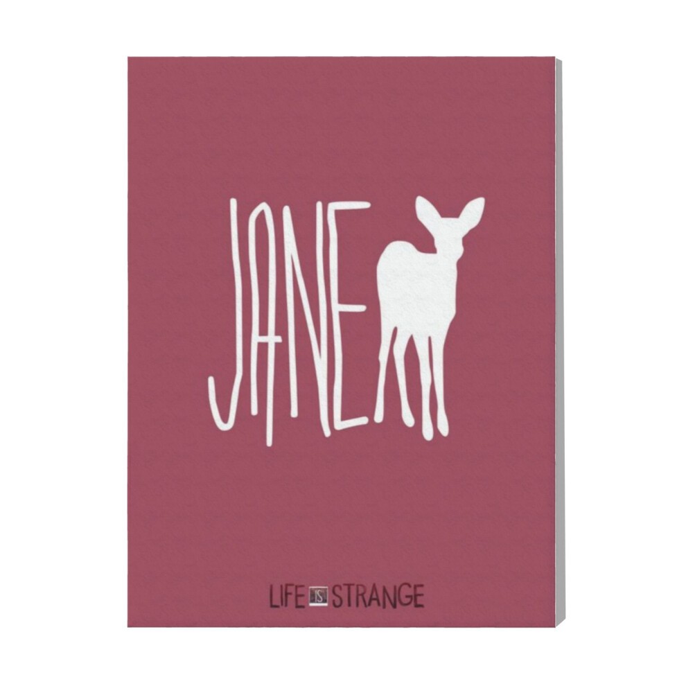 (Life Is Strange Max=4742) Canvas Print Framed DIY Install Kit- 16x20