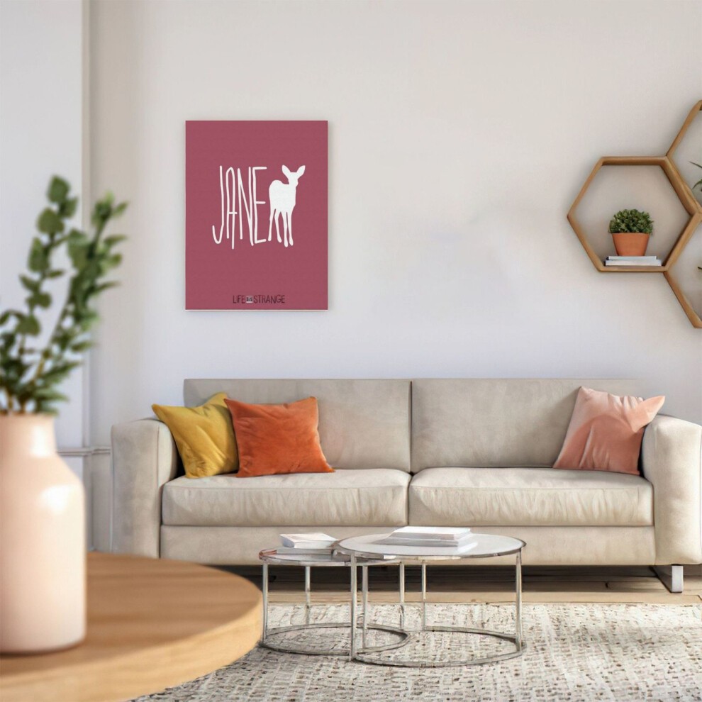(Life Is Strange Max=4742) Canvas Print Framed DIY Install Kit- 16x20