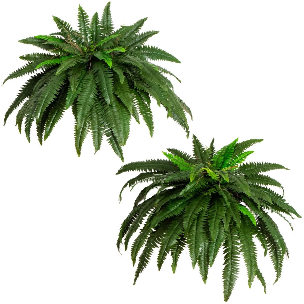 Nearly Natural 6051-S2 48? Boston Fern (Set of 2), 2 Piece,Green