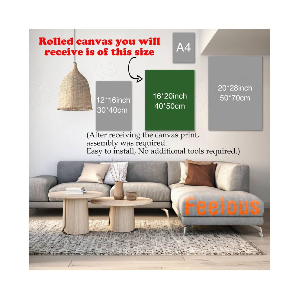 (Audi=6229) Canvas Print Framed DIY Install Kit- 16x20