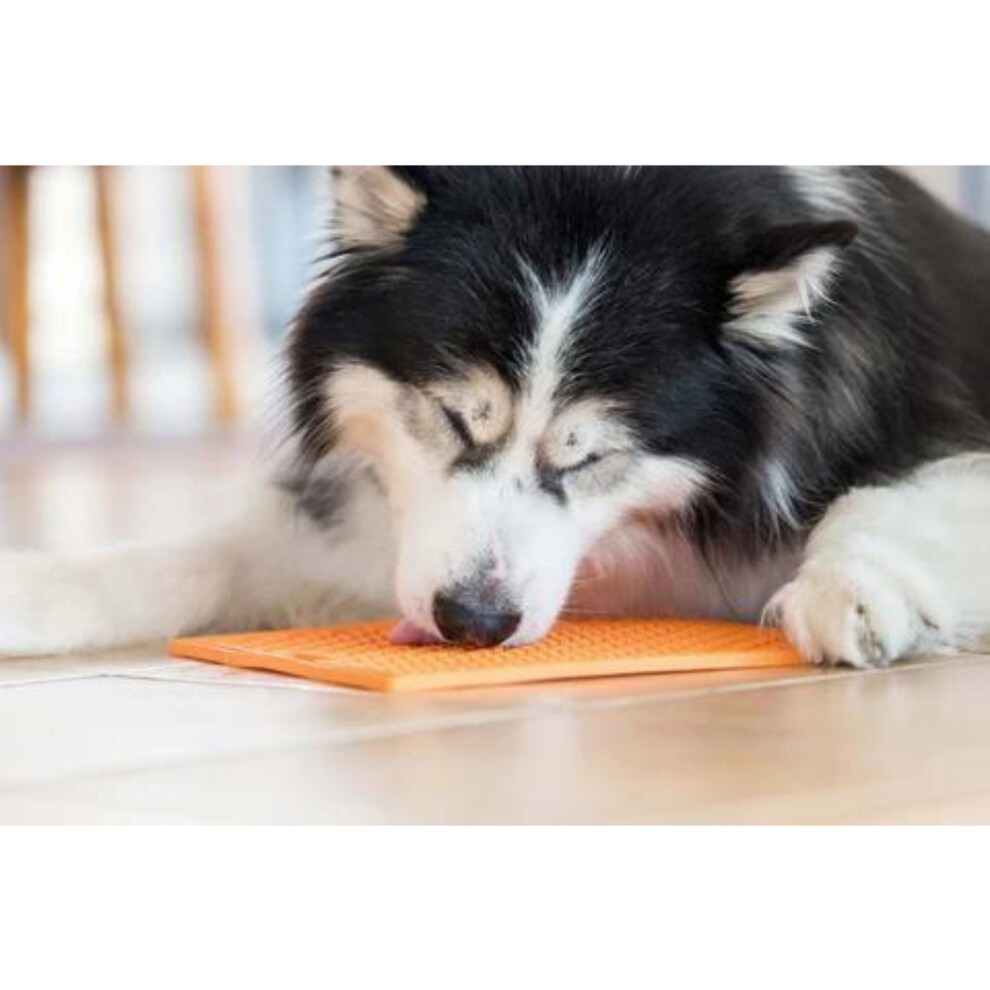 LickiMat Mini Tuff Buddy, Soother, Playdate for Small to Medium Dogs New 3 Pack thumbnail