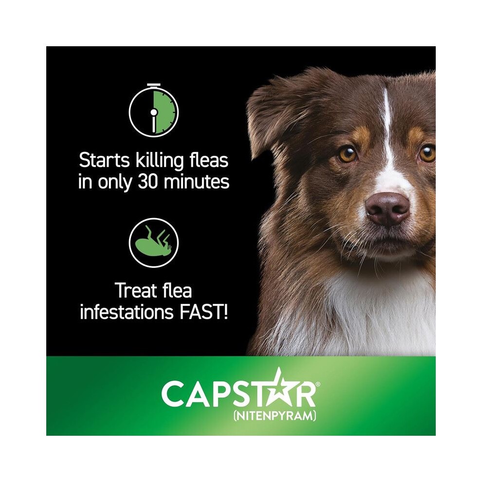 Capstar Dog Cat Flea Tablets Treatment Kills Fleas Fast 57mg - 6 Pack thumbnail