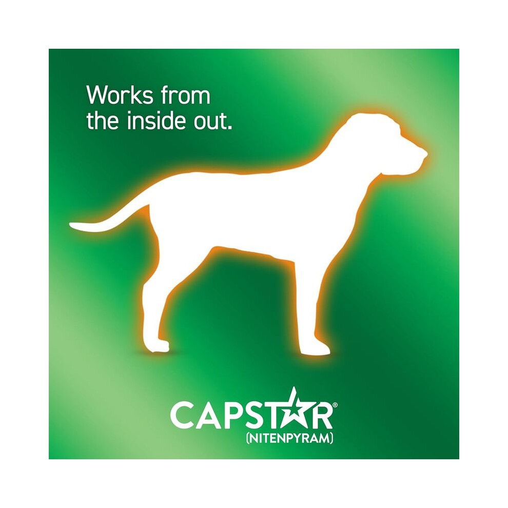 Capstar Dog Cat Flea Tablets Treatment Kills Fleas Fast 57mg - 6 Pack thumbnail