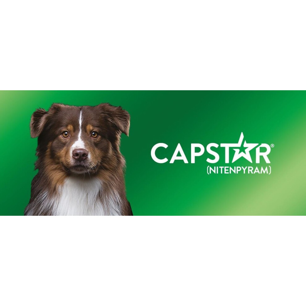 Capstar Dog Cat Flea Tablets Treatment Kills Fleas Fast 57mg - 6 Pack thumbnail