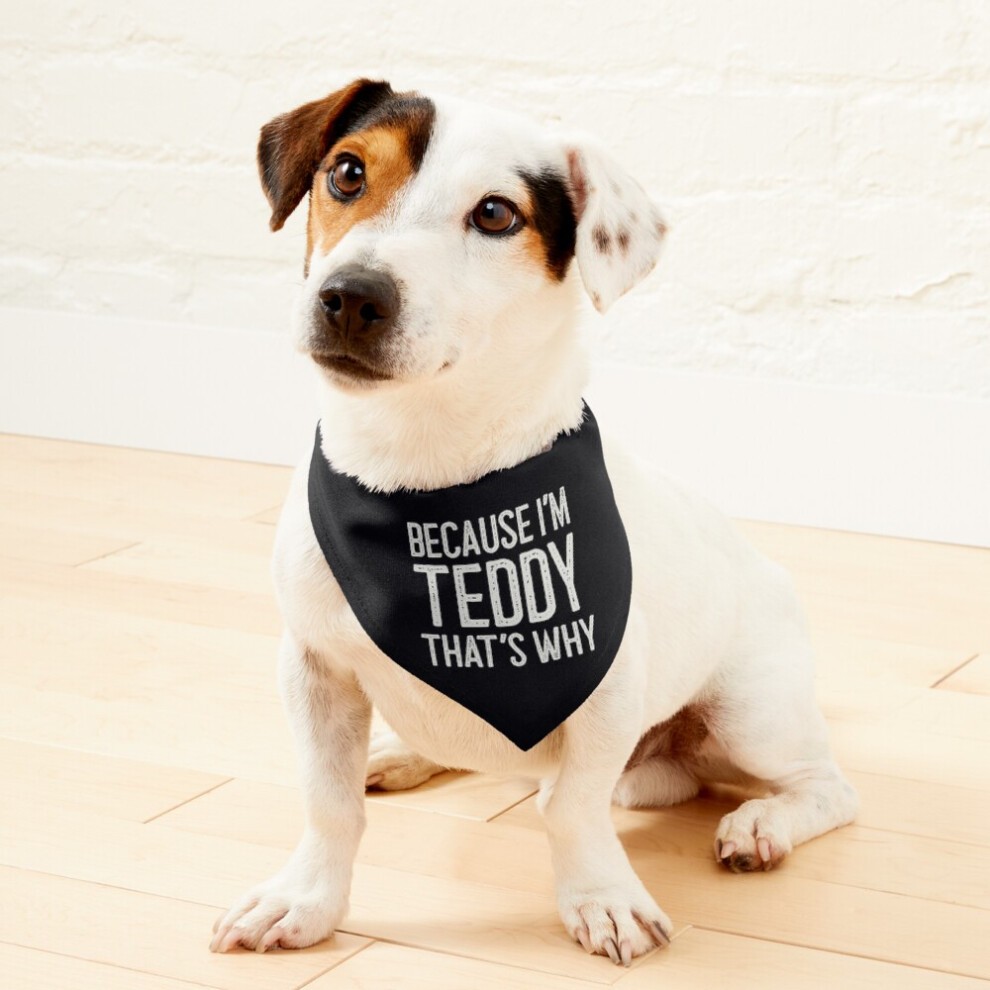 (Because I?m Teddy That?s Why Funny Personalized Name=2564) 2-in-1 Pet Bandana Collar with Quick Release Buckle & D-Ring Adjustable Cat Scarf for Larg
