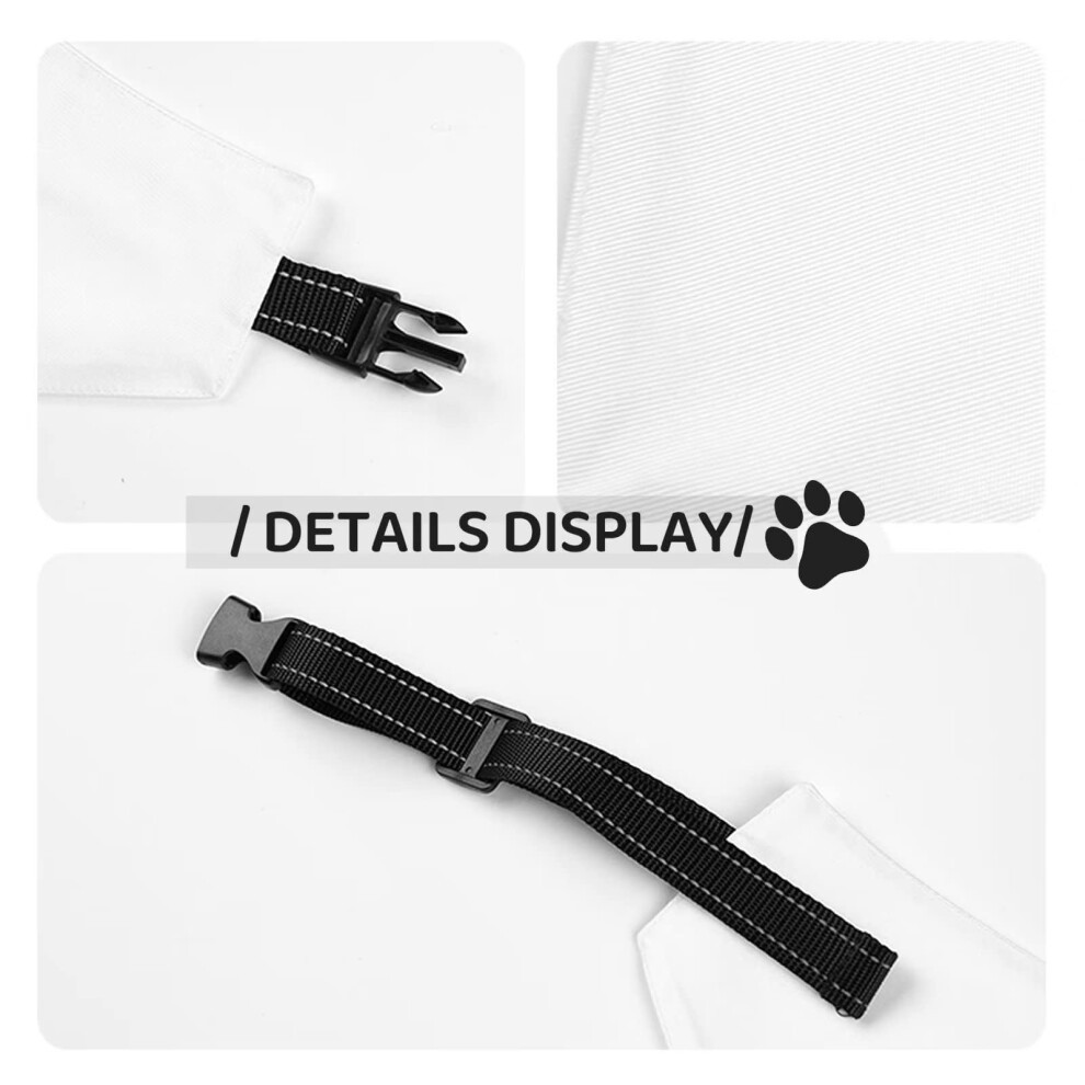 (Because I?m Teddy That?s Why Funny Personalized Name=2564) 2-in-1 Pet Bandana Collar with Quick Release Buckle & D-Ring Adjustable Cat Scarf for Larg thumbnail