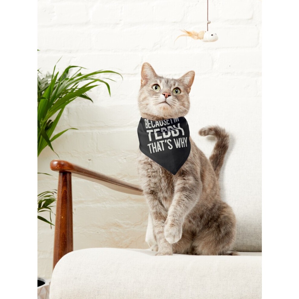 (Because I?m Teddy That?s Why Funny Personalized Name=2564) 2-in-1 Pet Bandana Collar with Quick Release Buckle & D-Ring Adjustable Cat Scarf for Larg thumbnail