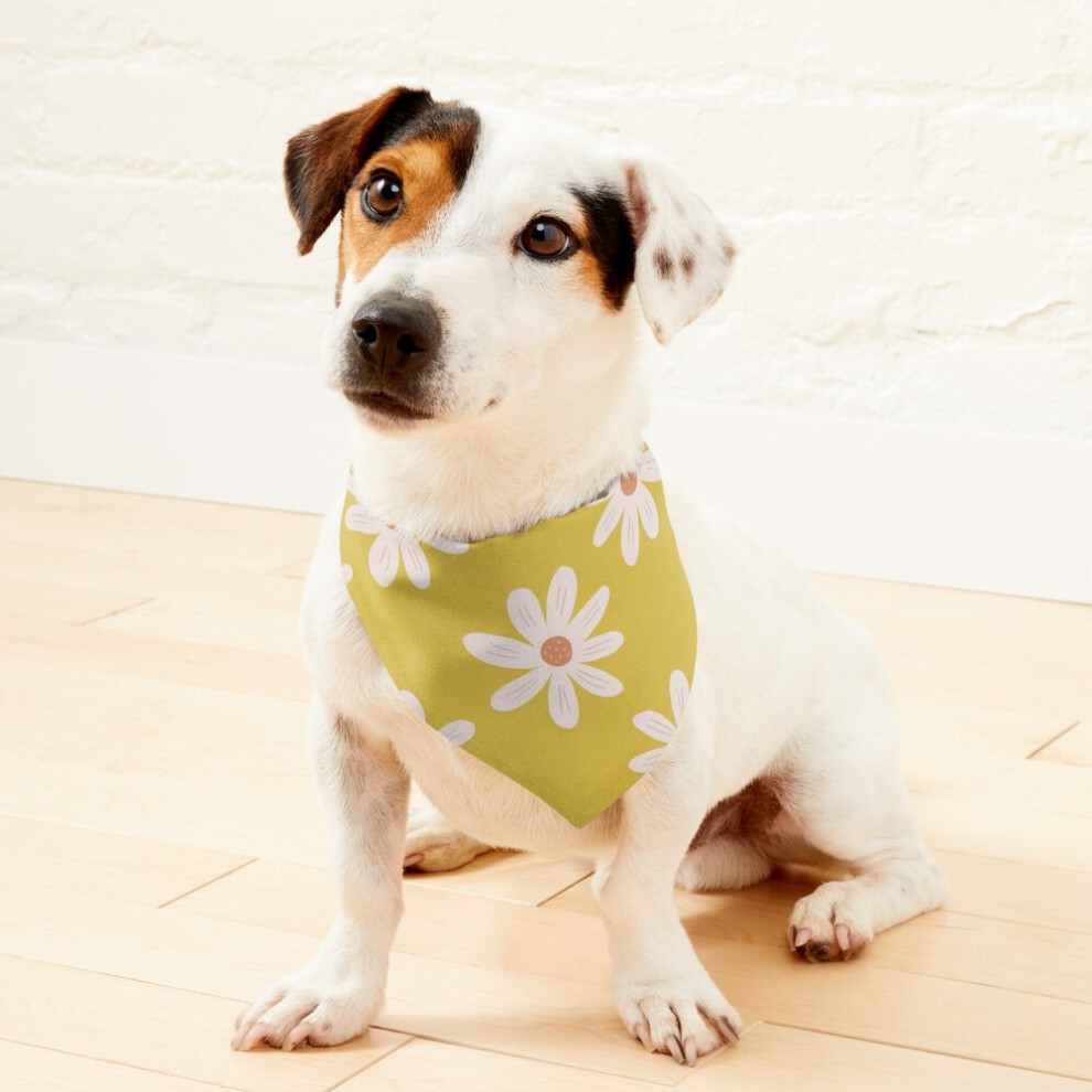 (Vintage Granny Square Print=2658) 2-in-1 Pet Bandana Collar with Quick Release Buckle & D-Ring Adjustable Cat Scarf for Large/XLarge/XXLarge Dogs, Do