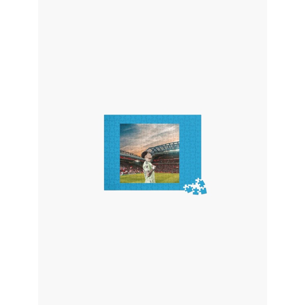 (Alejandro Garnachos=5954) Jigsaw Puzzle Wooden 300-Piece for Adults Kids Seniors- Home Decor Family Activity Game Wall Art 38x26cm / 15x10inch Birthd thumbnail