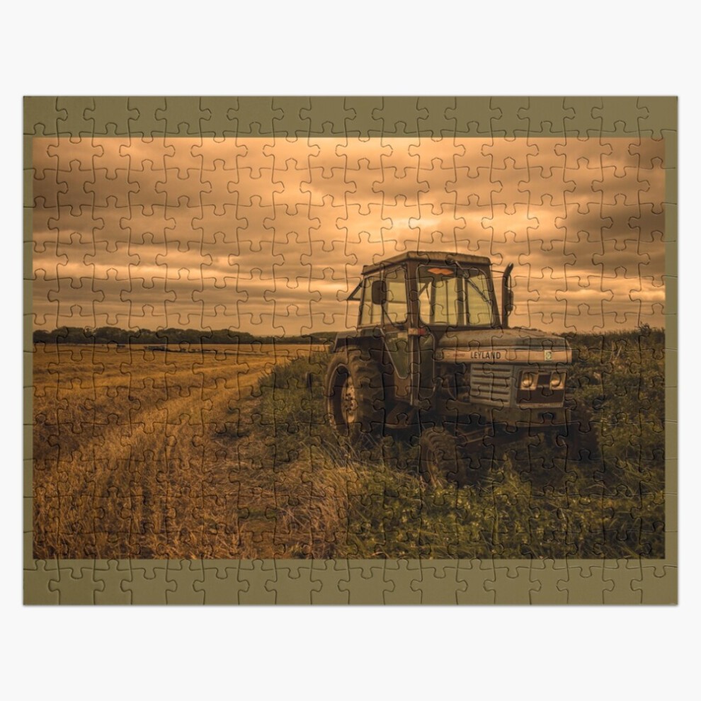 (Leyland 282 =9585) Jigsaw Puzzle Wooden 300-Piece for Adults Kids Seniors- Home Decor Family Activity Game Wall Art 38x26cm / 15x10inch Birthday Part