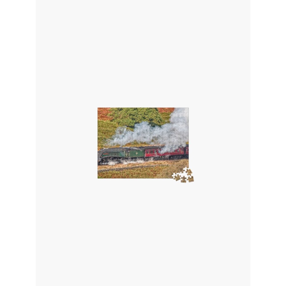 (60009 Union of South Africa=10277) Jigsaw Puzzle Wooden 300-Piece for Adults Kids Seniors- Home Decor Family Activity Game Wall Art 38x26cm / 15x10in thumbnail