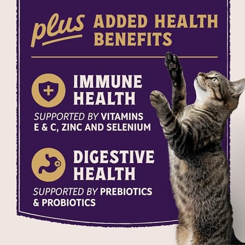 Natural Balance Ultra Protein +  Immune/Digestive Chicken&Ml Cat 2.5lb C=6 thumbnail