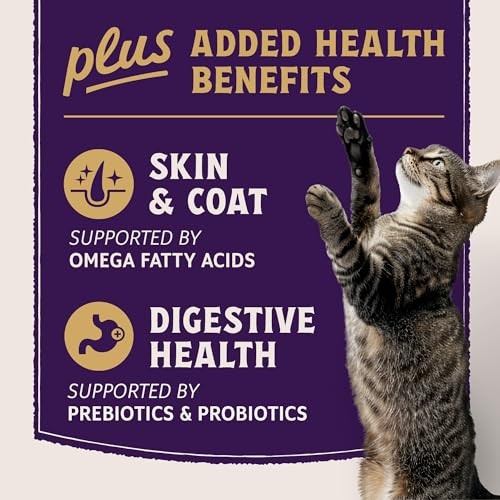 Natural Balance Ultra Protein + Skin&Coat/Digestive Salmon&Ckn Cat 2.5 Lb C=6 thumbnail