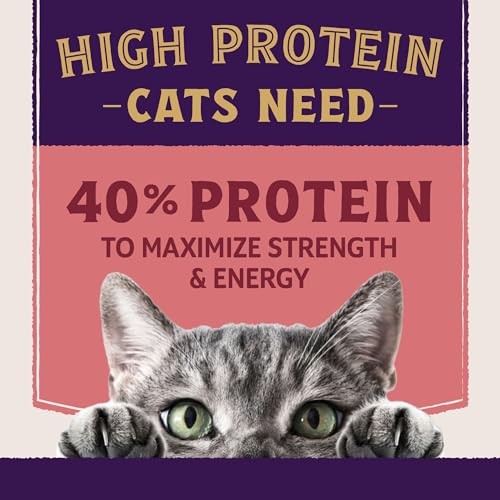 Natural Balance Ultra Protein + Skin&Coat/Digestive Salmon&Ckn Ml Cat 5lb C=5 thumbnail
