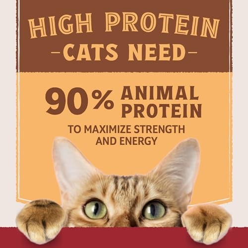 Natural Balance Ultra Protein Real Duck/Protein-Rich Organ Pate Cat 24/2.8oz thumbnail