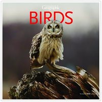 Canadian Geographic Birds 2020 Calendar