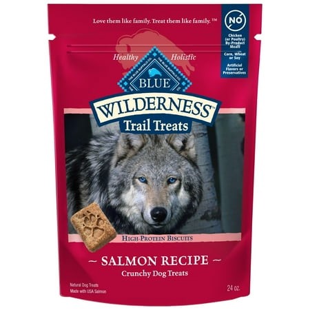 Blue Buffalo WildernessEGSC Trail Treats Crunchy Dog Biscuits  Grain-Free and High-Protein Dog Treats Made with Natural Ingredients  Salmon Recipe 24-