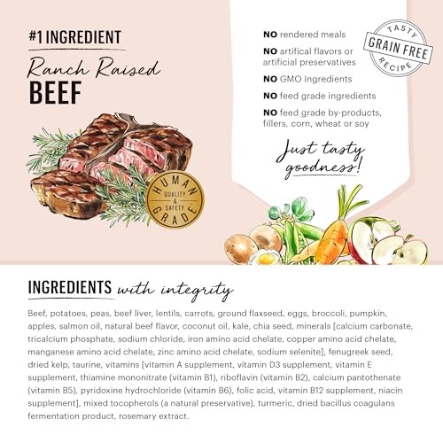 The Honest Kitchen Whole Food Clusters Dog Whole Grain Beef & Oat 10 Lb Bag thumbnail