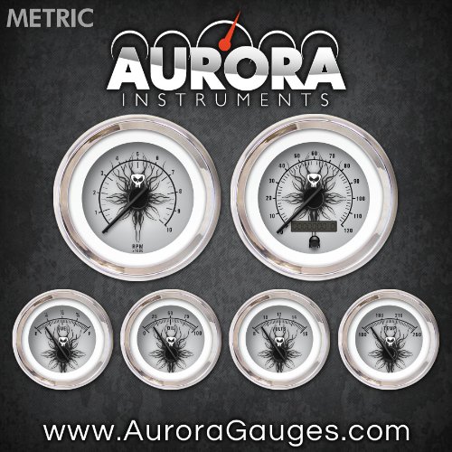 Aurora Instruments 5674 Skull Series Metric 6-Gauge Set (Black Modern Needles, Chrome Trim Rings, Style Kit Installed) thumbnail