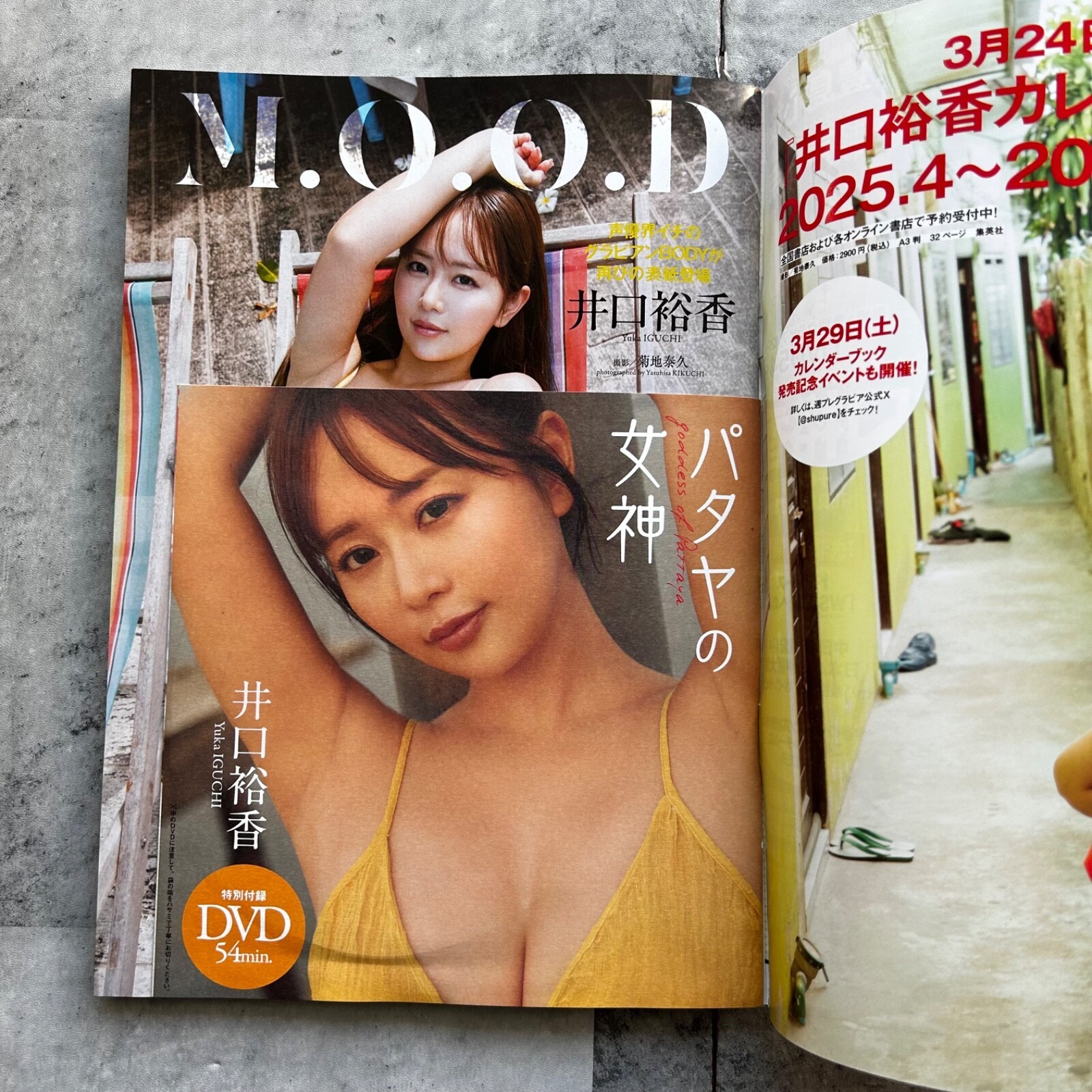 Weekly Play Boy No.13-14 2025 Yuka Iguchi Japanese Playboy Magazine from Japan thumbnail