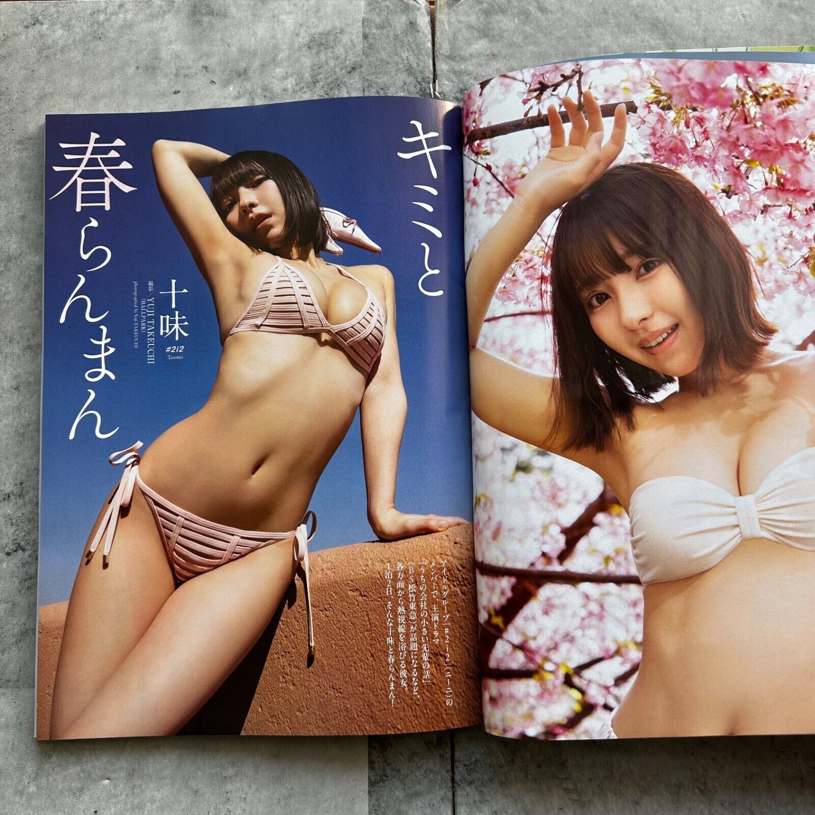 Weekly Play Boy No.13-14 2025 Yuka Iguchi Japanese Playboy Magazine from Japan thumbnail