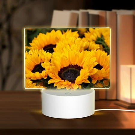 Coaee Flower Bush Sunflower for Rectangular Acrylic LED Desk Lamp 3 Color Change Decor Night Light Acrylic Sleep Night Light as Best Gifts for Teens B