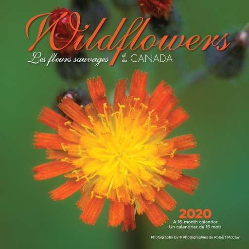Calendars Wildflowers Wall Calendar FSC Certified Paper and Full Color Pages - All Major Holidays - 12 Months